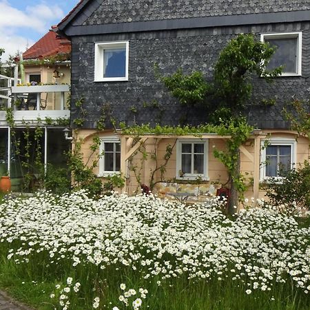 Privatzimmer Lehmann Kottmar Esterno foto