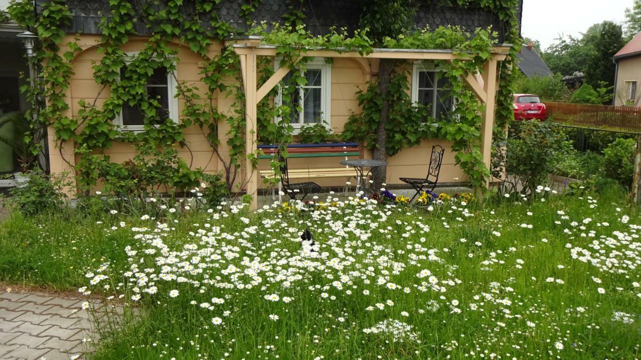 Privatzimmer Lehmann Kottmar Esterno foto